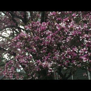 Meet your Posher, Corinne